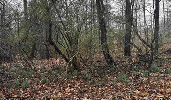 67 Old Wire Rd, Atkins, AR 72823
