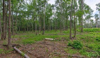 Wilson Lane, Arnoldsville, GA 30619