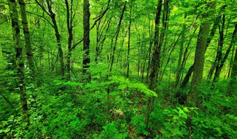 4376 VT-22A, Bridport, VT 05734