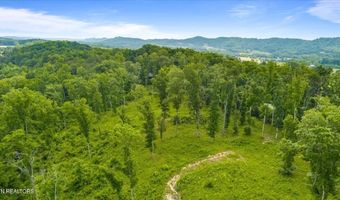 Tract 1 Mill Creek Rd, Andersonville, TN 37705
