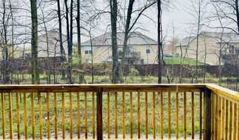 11792 Everett Ave, Allendale, MI 49401