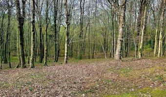 1361 Walkers Chapel Rd, Adolphus, KY 42120