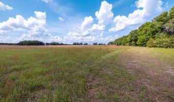 1704 Cobb Rd, Baker, FL 32531