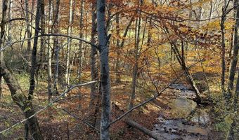 815 White Oak Rd, Artie, WV 25008