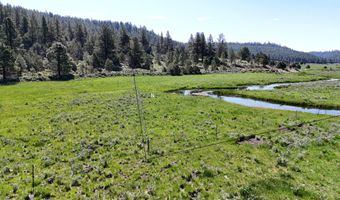 Mile Post 12 Fish Hole Creek, Bly, OR 97622