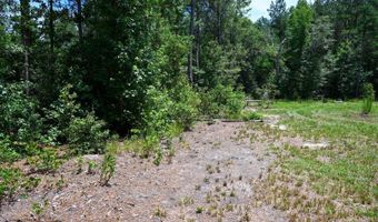 Rooks Road, Atkinson, NC 28421