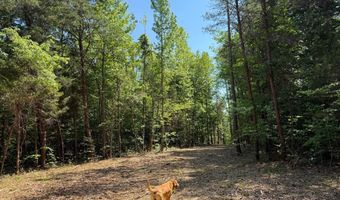 HOLLYWOOD RD, Appomattox, VA 24522