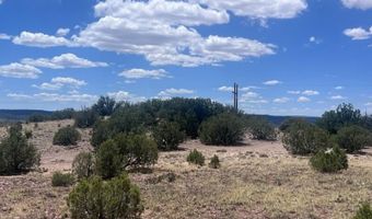41 Indian Drive CR 8062, Concho, AZ 85924