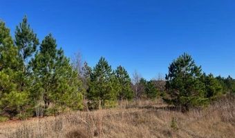 1300 Red Oak Rd, Barnwell, SC 29812