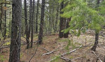 59 Price Loop, Cascade, ID 83611