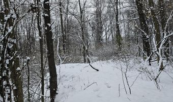 Sec 4 S B Drive, Albion, MI 49224