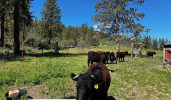 6310 Happy Hollow Ln, Bonanza, OR 97623
