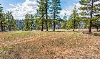 20861 Hwy 160, Bayfield, CO 81122
