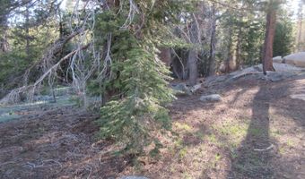 175 Silver Tip Dr, Bear Valley, CA 95223