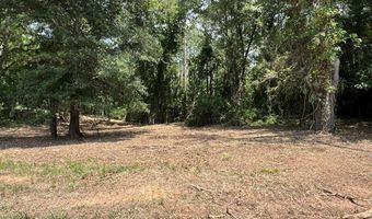 00 US Hwy 29, Banks, AL 36005