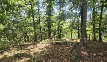 2 33 ACRES - AA ROGERS Rd, Augusta, WV 26704