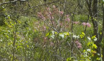 Steve Brown Road, Bean Station, TN 37708