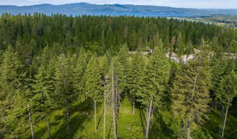 16 Bridle Ct, Bigfork, MT 59911