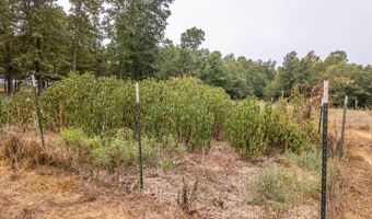 229 County Road 314, Alton, MO 65606