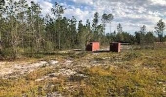 22563 NW Lake Mckenzie Blvd, Altha, FL 32421