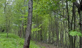 4 Fox Pointe Dr, Banner Elk, NC 28604