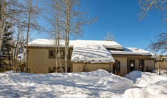 1036 Red Mountain Rd, Aspen, CO 81611