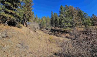 618 Quail Dr, Ahsahka, ID 83520