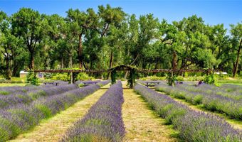 Purple ADOBE LAVENDER FARM 25 Private Dr 1622, Abiquiu, NM 87510