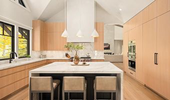 285 Pfister Dr, Aspen, CO 81611