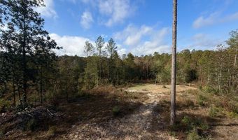 0 Progress Road Rd, Beaumont, MS 39423