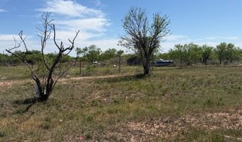 2367 US Highway 277 N, Anson, TX 79501