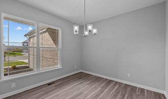 3829 Bozeman Way Plan: Cheswicke II Basement, Bargersville, IN 46106