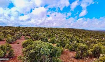 Tbd Co Rd 8256 Lot C 10 Acres, Concho, AZ 85924