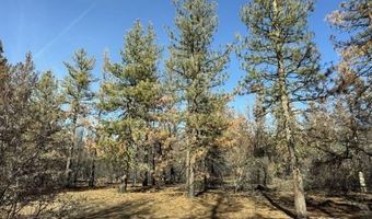Hummingbird Drive, Bonanza, OR 97623