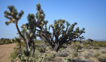 2641 S Javalina Rd, Yucca, AZ 86438