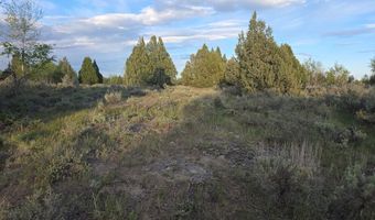 TBD 40 AC Arcadia Road, Ashton, ID 83440