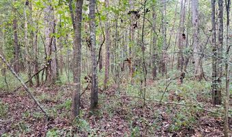 644 Ash-harrel Loop, Abbeville, GA 31001