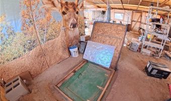 1054 S Casada Way, Amargosa Valley, NV 89020