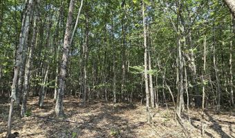 11 C-2 NH Route140, Alton, NH 03809
