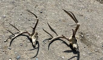 698 Hwy 30, Basin, WY 82410