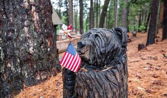 1760 Medina Dr, Arnold, CA 95223