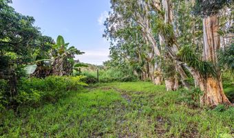 29-613 CHIN CHUCK Rd, Hakalau, HI 96710