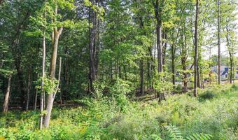 44-9 Olympus Way Map 14 Lot 44-9, Bedford, NH 03110