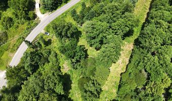 TBD Paint Fork Rd, Barnardsville, NC 28709