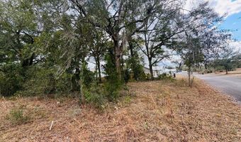 3543 Durden Ave, Bell, FL 32619