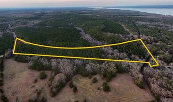 179 Lakefront Dr, Abbeville, AL 36310