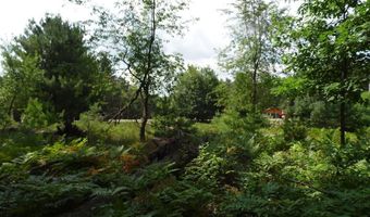 S Forest Lake, Alger, MI 48610