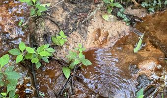 0 Military Rd, Beaverton, AL 35544