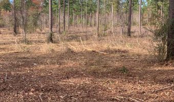 LOT # 5 OLD HWY 33, Centreville, MS 39631