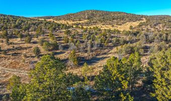 38 Copper Ridge Rd Lot 38, Alto, NM 88312